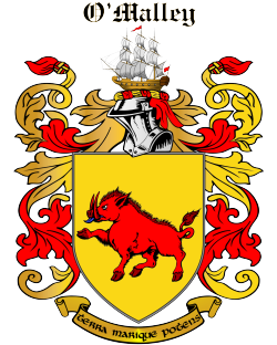 LEANY family crest